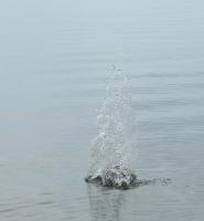 Bifogad bild: IMG_5096.JPG